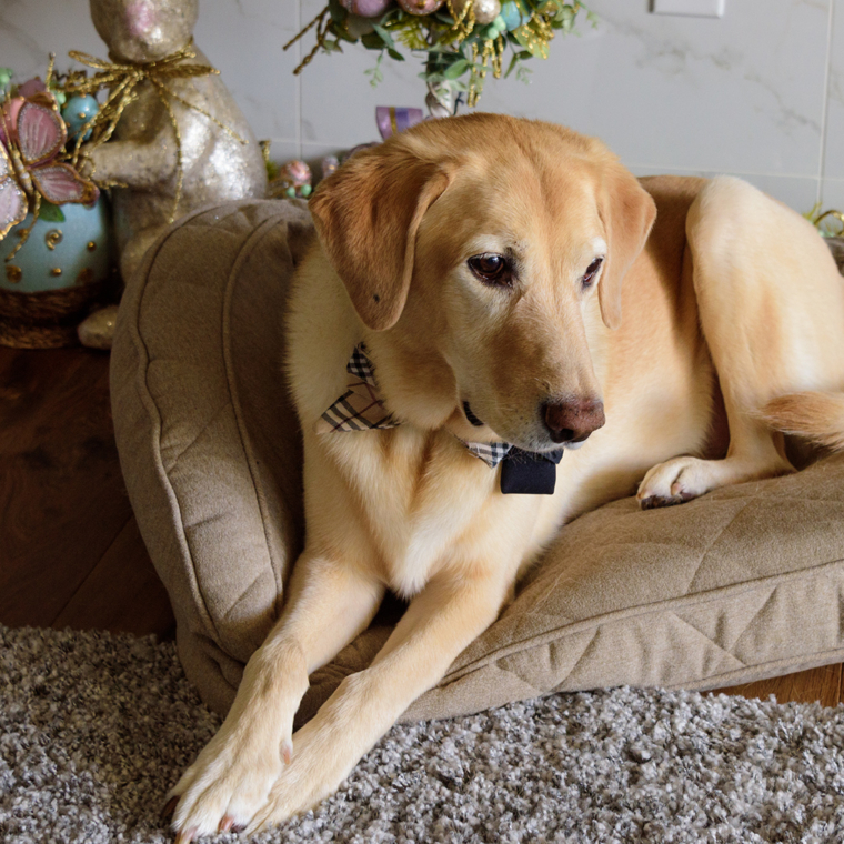 Friday Finds & Check-ins, Volume 595