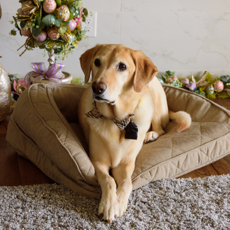 Friday Finds & Check-ins, Volume 595