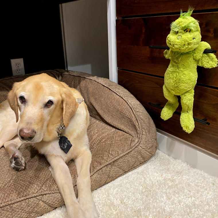 Friday Finds & Check-ins, Volume 592