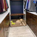 Friday Finds & Check-ins, Volume #592