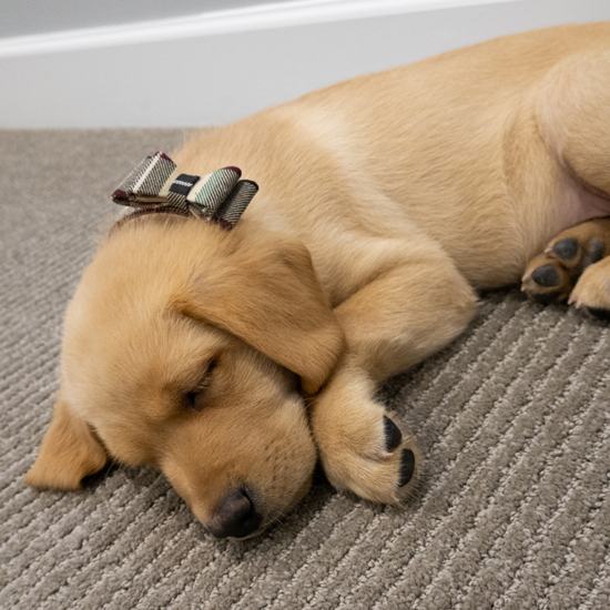 Winston 8 Weeks