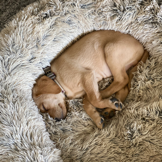 Winston 9 Weeks