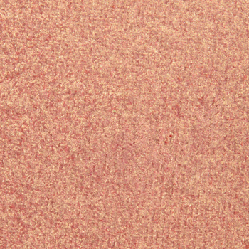 ColourPop Beachy Pressed Powder Shadow