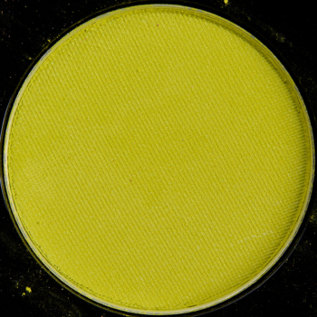 MAC Picnic Panic Eyeshadow