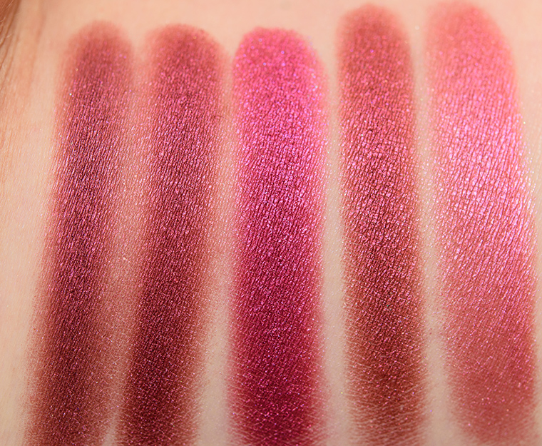 Sydney Grace Comparisons: Role Model, Princess Pay Pay, Orion Nebula, Amber Jewel, Fire Catcher