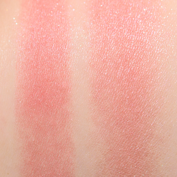 Dior Rose Delights (364) Rouge Blush
