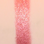 Adept ACI3 Eyeshadow