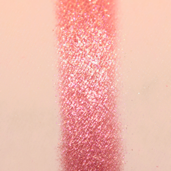 Adept ACI3 Eyeshadow