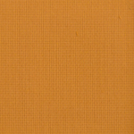 By Beauty Bay Marigold Eyeshadow