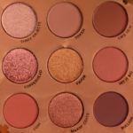 ColourPop Lucky Penny 9-Pan Pressed Powder Palette