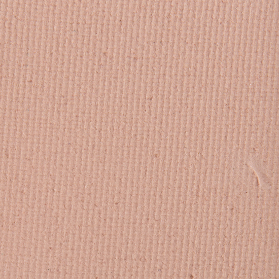 LORAC Pro Eyeshadow (2020) Timber