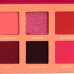Ace Beaute Blossom Passion 12-Pan Eyeshadow Palette