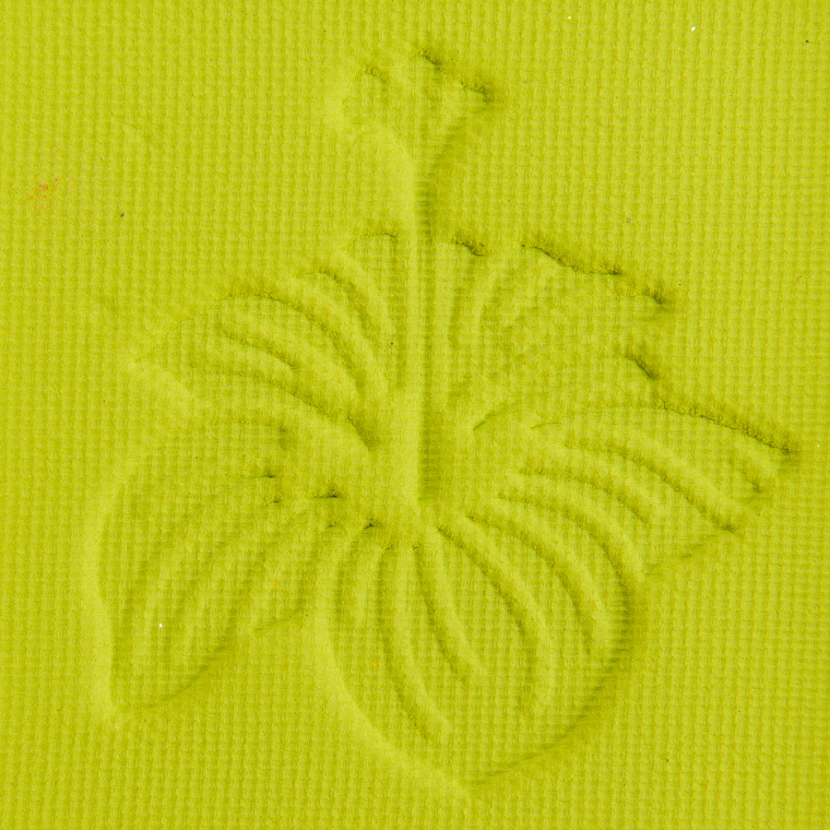 <p class="text-center">Ace Beaute Chartreuse Eyeshadow</p>