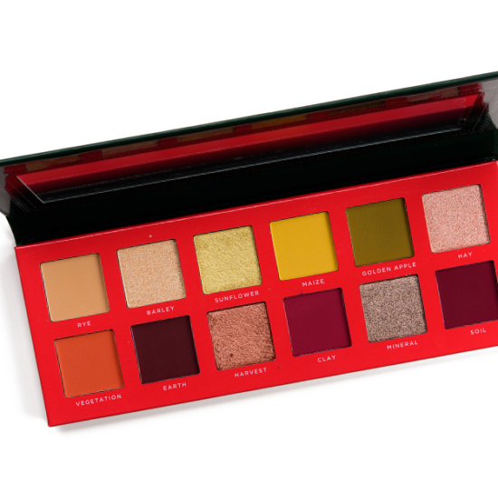 Ace Beaute 12-Pan Eyeshadow Palette Classical Paradise