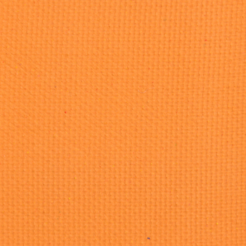 Ace Beaute Pressed Pigment Persimmon