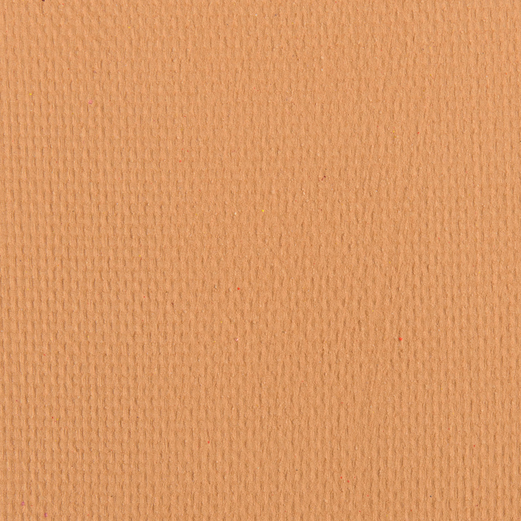 <p class="text-center">Ace Beaute Rye Pressed Pigment</p>
