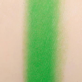 Ace Beaute Seagrass Eyeshadow