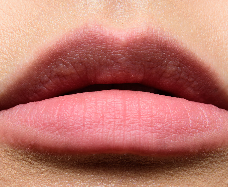 ColourPop Otter Blotted Lip (2021)