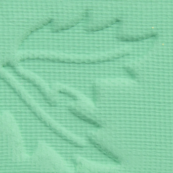 Kaleidos Mint Fever Eyeshadow