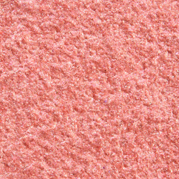 By Beauty Bay Bellini Eyeshadow