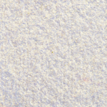 Coloured Raine Expensive Eyeshadow