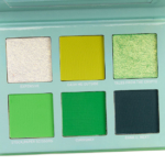 Coloured Raine Wealthy Chic 6-Pan Eyeshadow Palette