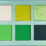 Coloured Raine Wealthy Chic 6-Pan Eyeshadow Palette