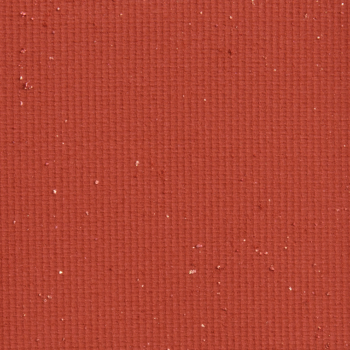 ColourPop Pressed Powder Shadow Fin