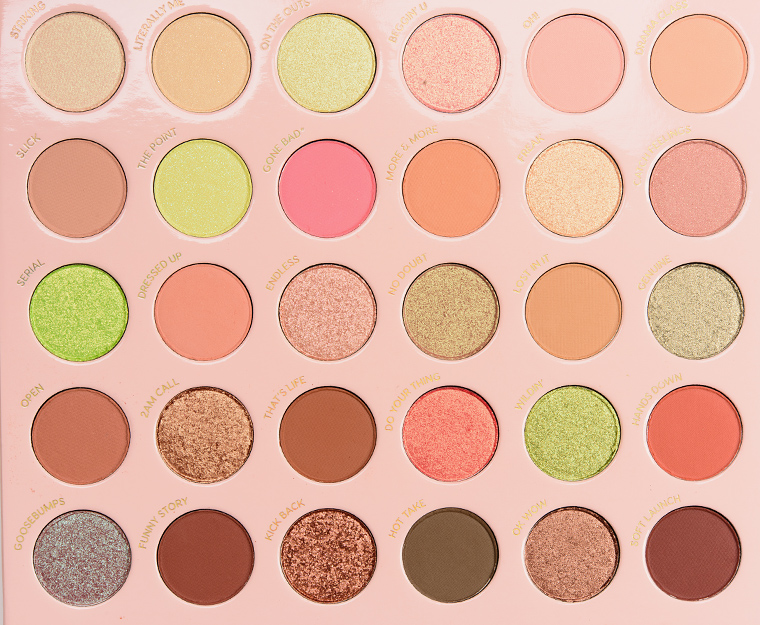 ColourPop Gettin' Fresh 30-Pan Shadow Palette