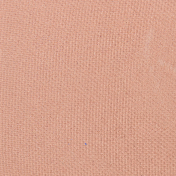 LORAC Pro Eyeshadow Undivided