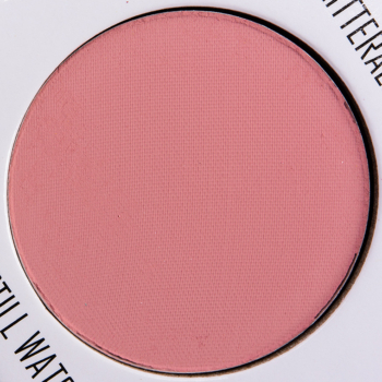 Give Me Glow Matte Pressed Shadow Are You Still Watching