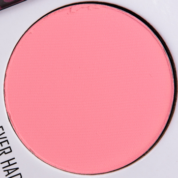 Give Me Glow Matte Pressed Shadow Best I've Ever Had