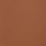 Rose Inc Seychelles Solar Infusion Soft-Focus Cream Bronzer