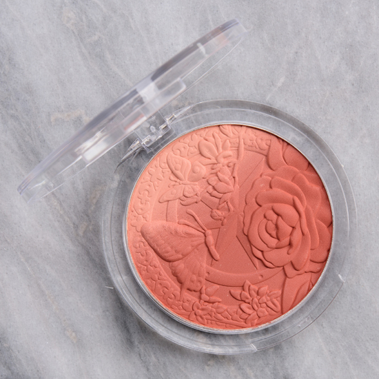 Moira Tender Rose Signature Ombre Blush