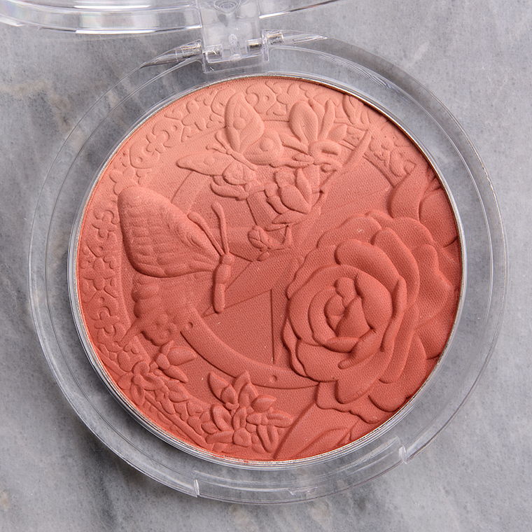 Moira Tender Rose Signature Ombre Blush