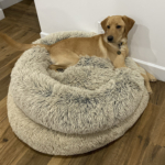 Best Friends by Sheri Donut Bed - Winston enjoying the double-decker
