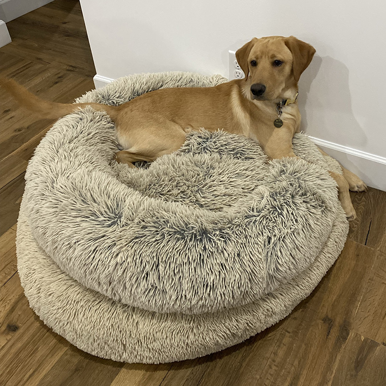 Best Friends by Sheri Donut Bed - Winston enjoying the double-decker