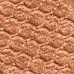 ColourPop Wocka Wocka Super Shock Shadow