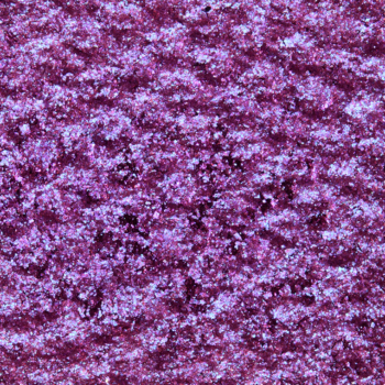 Glamlite Eyeshadow Creeps and Crawls #5