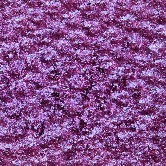 Glamlite Eyeshadow Creeps and Crawls #5