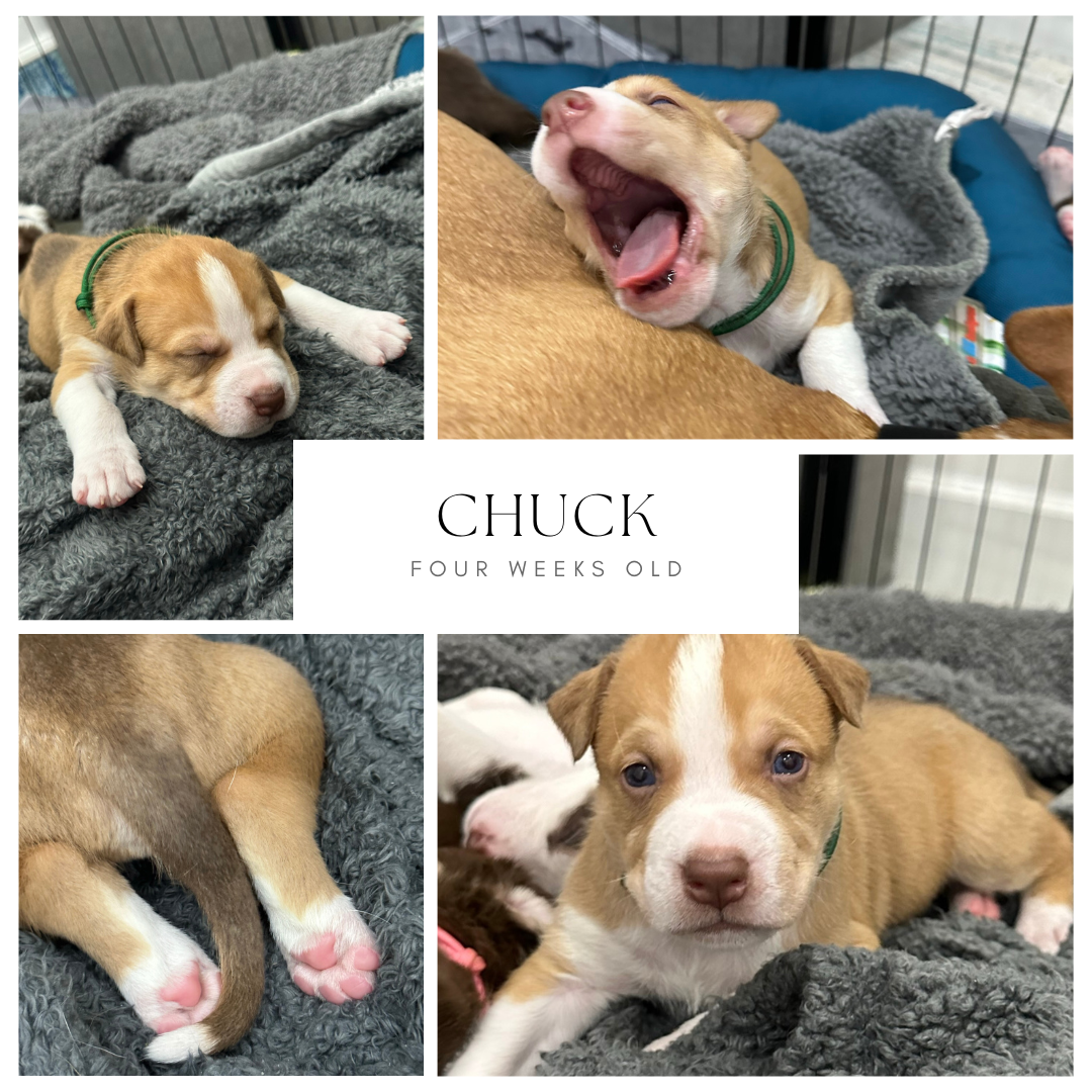 Friday Finds & Check-ins, Volume #697
