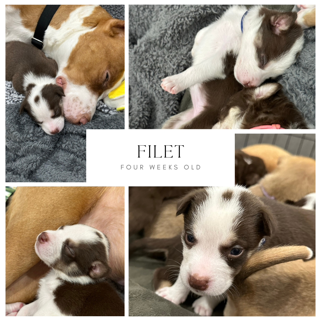 Friday Finds & Check-ins, Volume #697