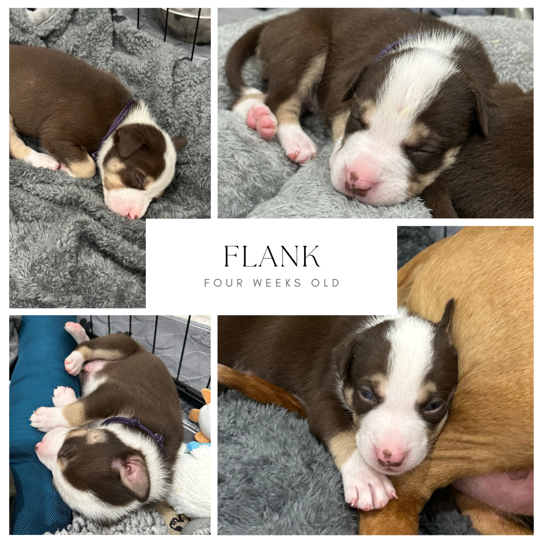 Friday Finds & Check-ins, Volume #697