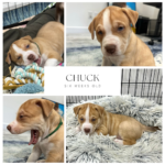 Friday Finds & Check-ins, Volume #699