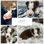 Friday Finds & Check-ins, Volume #699
