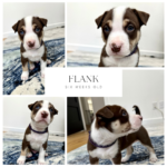 Friday Finds & Check-ins, Volume #699