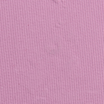 ColourPop Talking Flowers Pressed Powder Shadow
