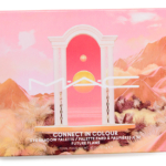 MAC Future Flame Connect in Colour 12-Pan Eyeshadow Palette