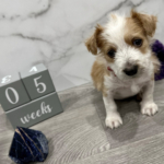 Friday Finds & Check-ins, Volume #705