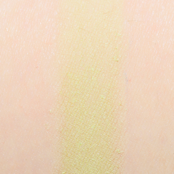 Dandy Lions Chlorophyll Matte Eyeshadow